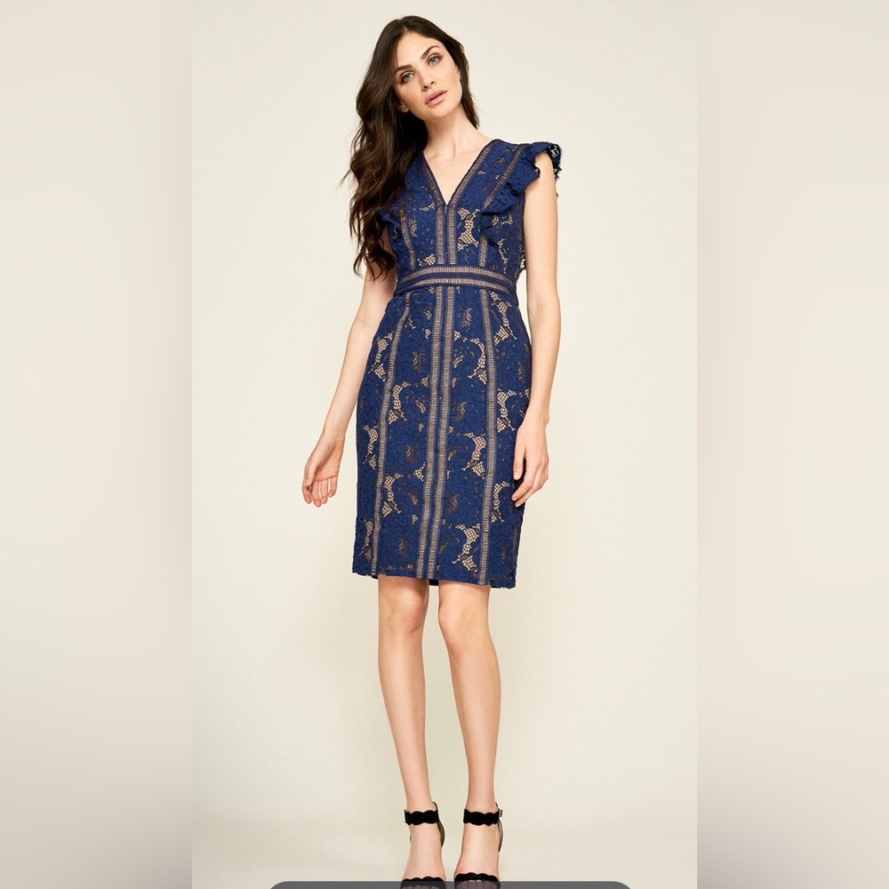 Tadashi Shoji Lexi Ruffle Sleeve Dress Blue Notte / Nude Size 14